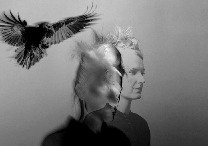 A black and grey image of a bird flying close to a person's head. It looks AI generated.
